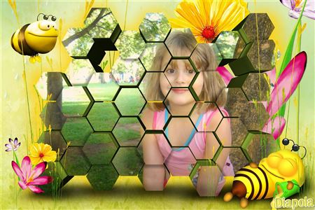 Montage photo 3D abeilles