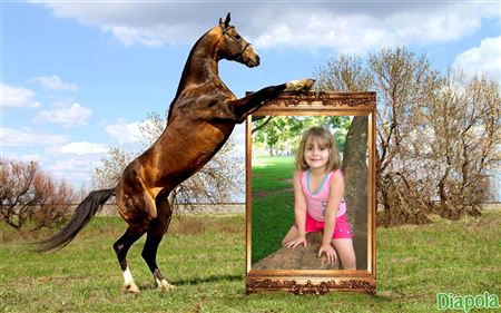 Montage photo trucage cadre cheval