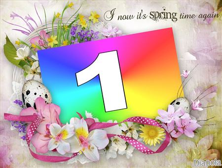 Montage photo Floral spring time